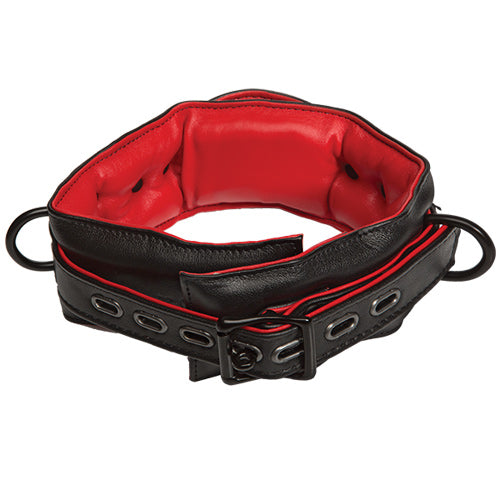 Kink - Leather Handler's Collar - Black and Red