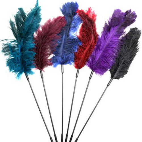 Ostrich Feather Ticklers - 6 piece combo